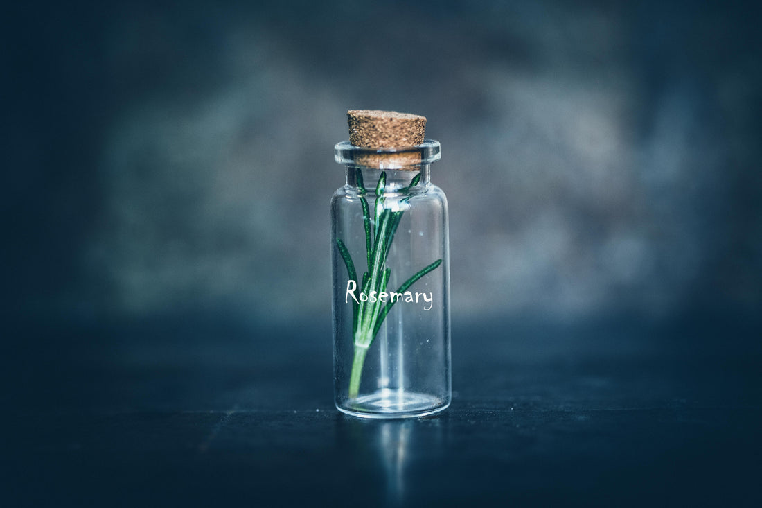 Why Rosemary Might Be the Missing Key to Stronger, Fuller Hair